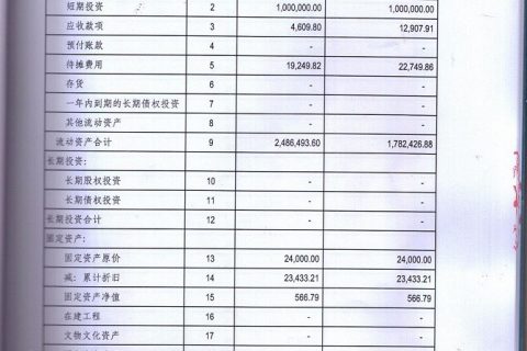 2019年度审计报告