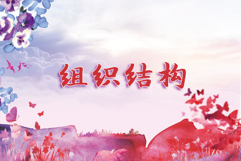 组织结构