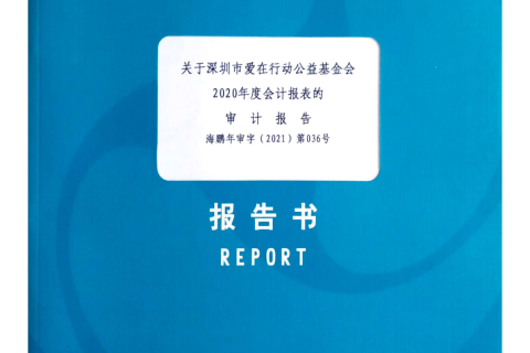 关于深圳市爱在行动公益基金会2020年度会计报表的审计报告