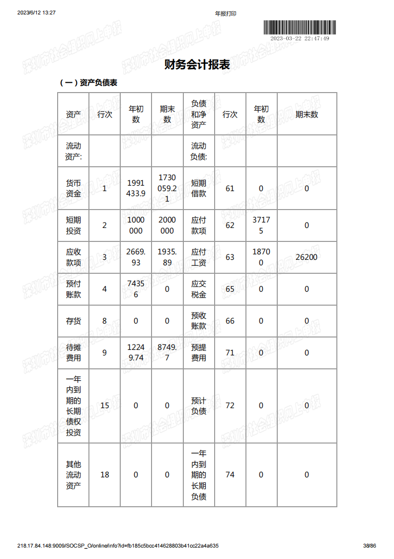 基金会2022年度工作报告书