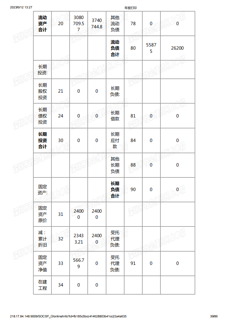 基金会2022年度工作报告书