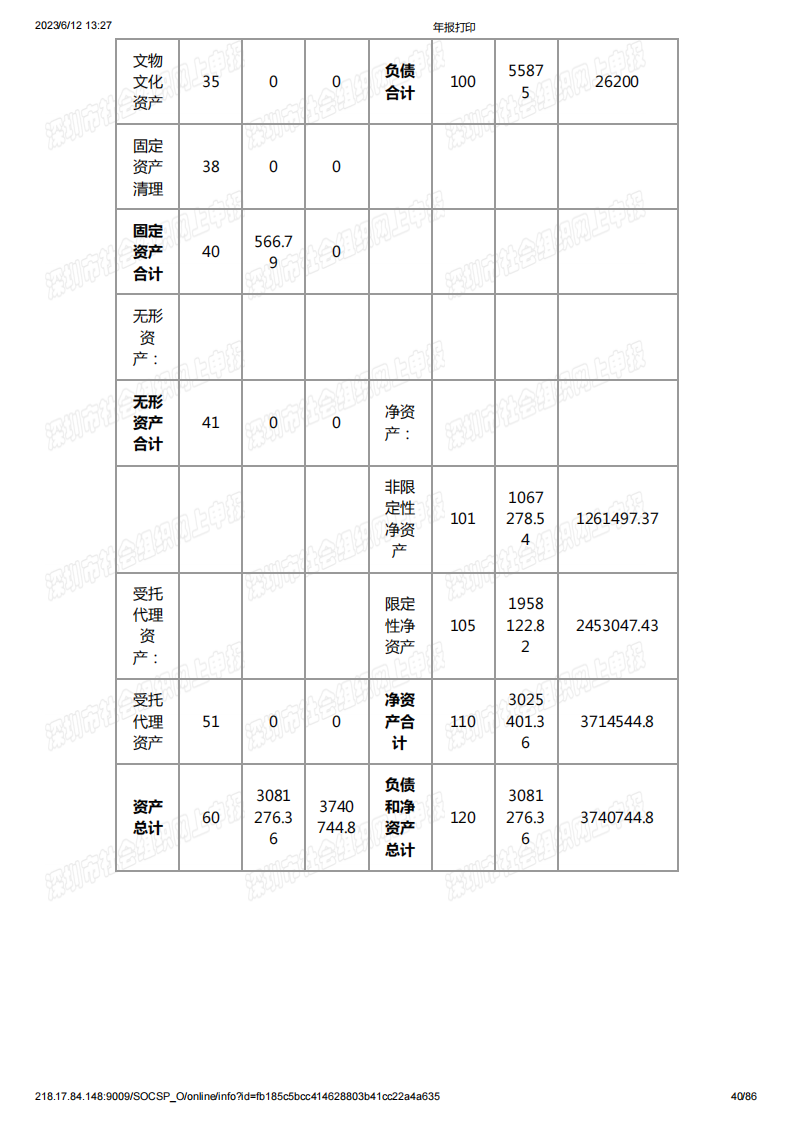 基金会2022年度工作报告书
