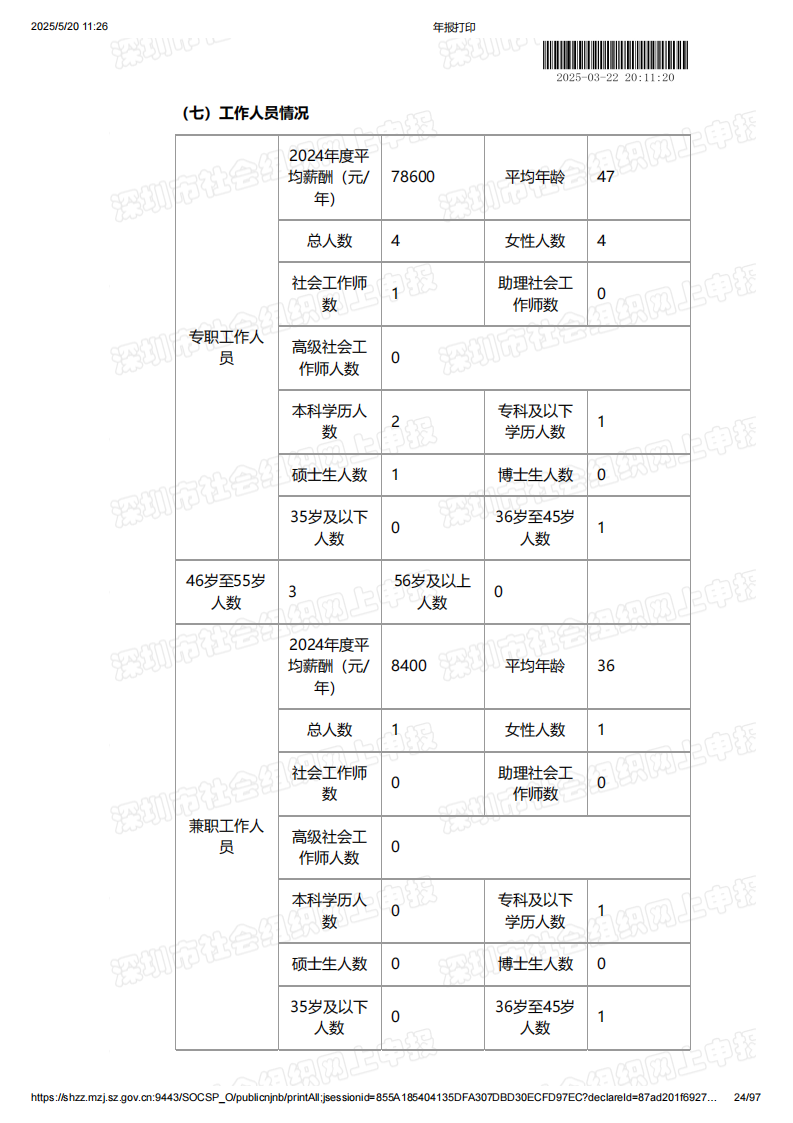 2024年年度报告