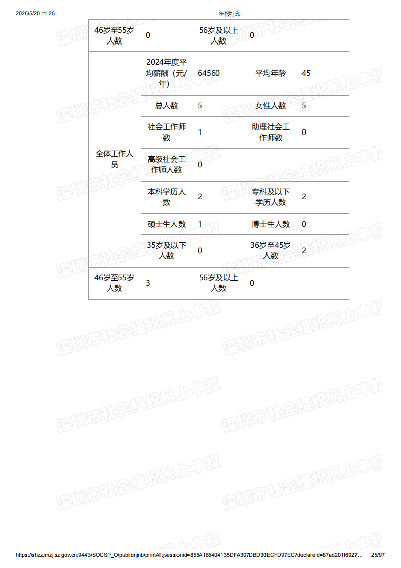 2024年年度报告
