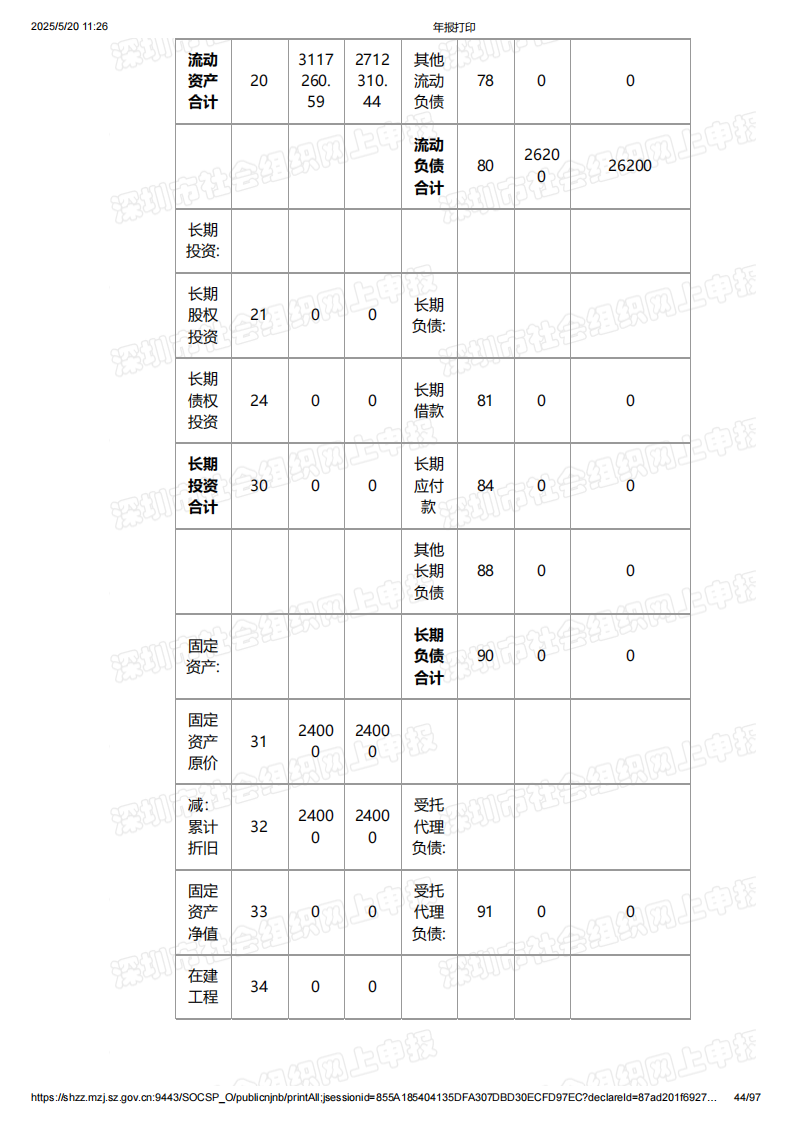 2024年年度报告