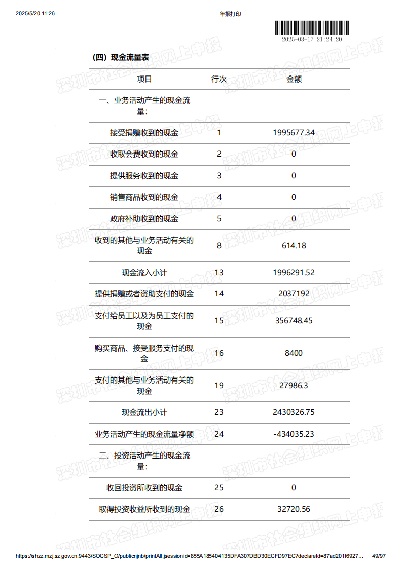 2024年年度报告