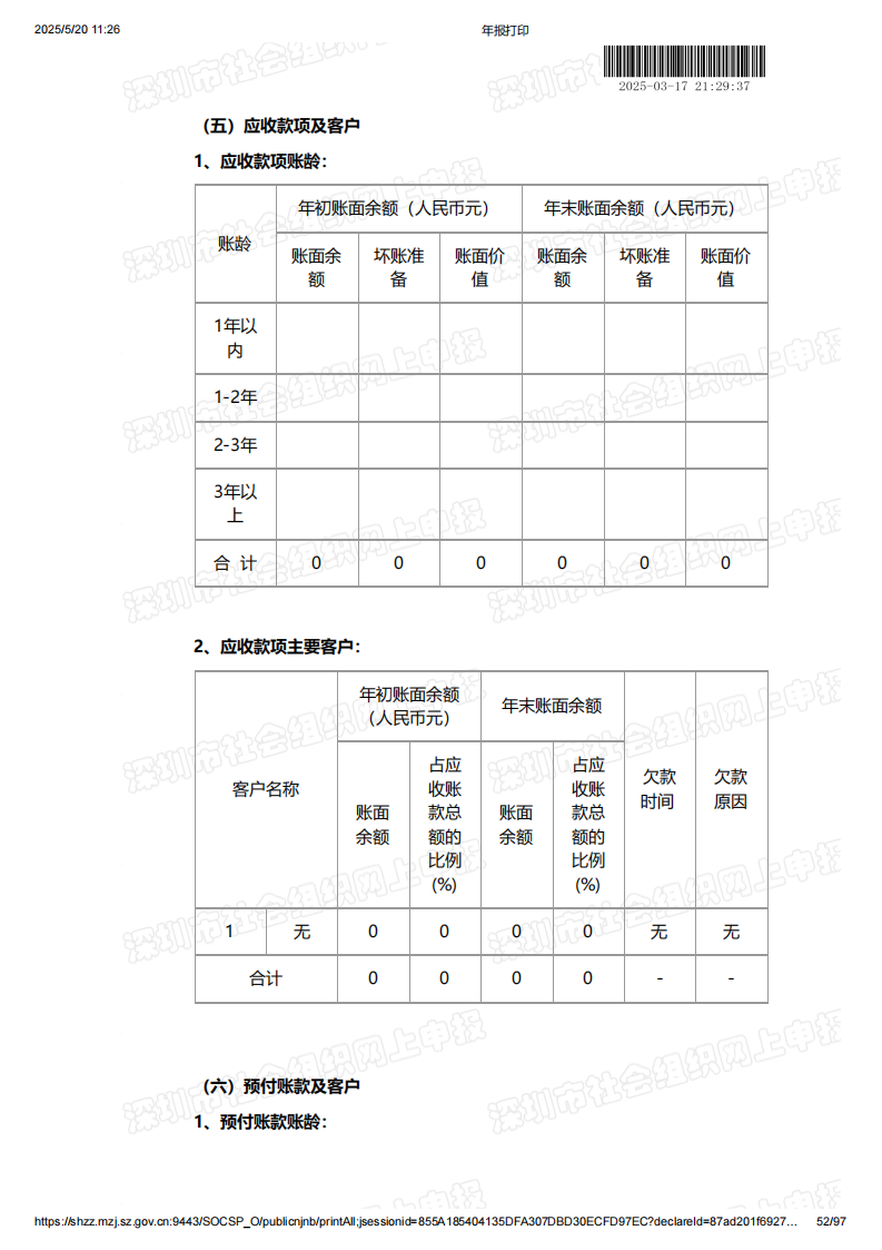 2024年年度报告
