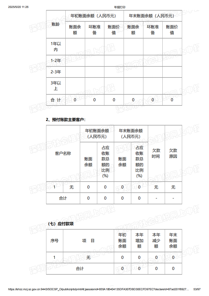 2024年年度报告