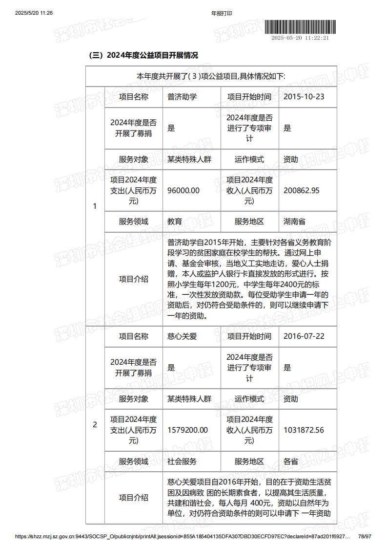 2024年年度报告