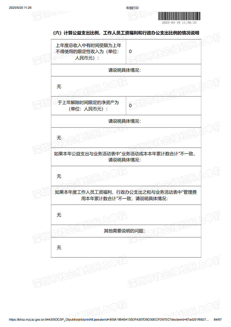 2024年年度报告