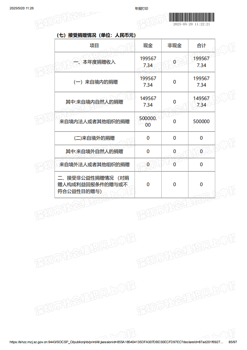 2024年年度报告